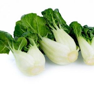 Baby Bok Choy 1Packed 江门白一扎