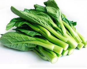 Baby Choy Sum 1Packed青骨 一扎