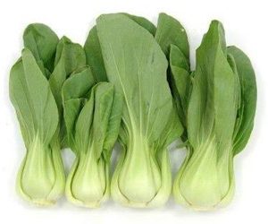 Shanghai Bok Choy 1Packed上海白一扎