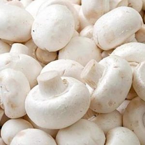 Mushroom/ Button Mushroom 1Kg 纽扣蘑菇