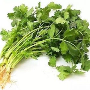 Coriander 1Packed 香菜一扎