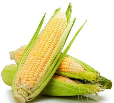 CORNS Corns 1P 散装玉米一条