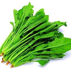 English Spinach 1Packed 菠菜 一扎