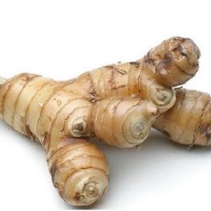 Galangal 1Kg 南姜
