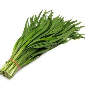 Garlic Chives 1Packed(small bun) 韭菜(小捆)