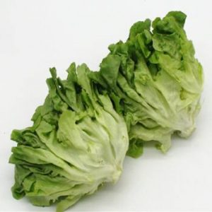 Oak/ Green Oak 1P 绿橡生菜一棵