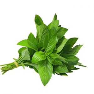 Mint 1Packed 薄荷一扎