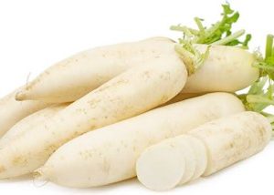 Radish/ White Radish 1P 白萝卜一根