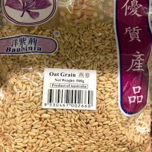 洋紫荆/燕麦 500G/YZJ OAT 500G